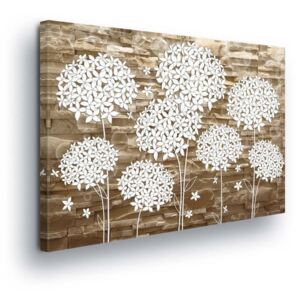 Obraz na plátne - White-leaved Flowers on Brown Background II 80x60 cm