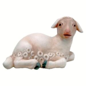 Nativity Animals - Lamb