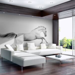 Fototapeta - White gallop 200x154 cm
