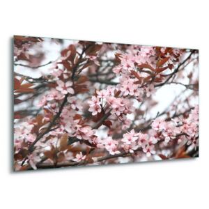 Sklenený obraz - Beautiful Blossoms 4 x 30x80 cm