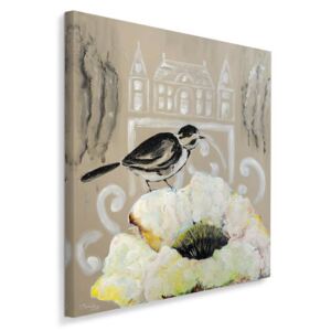CARO Obraz na plátne - White Flower And Black Bird 30x30 cm