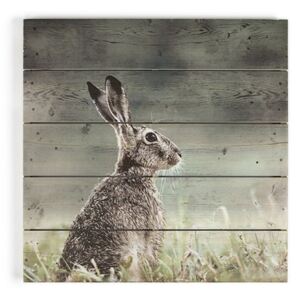 Drevený obraz Graham & Brown Hare, 50 × 50 cm