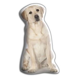 Vankúšik Adorable Cushions Zlatý labrador