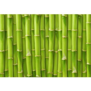 Vinylový koberec Bamboo, 52 × 75 cm