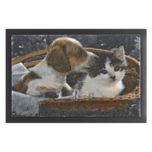Rohožka Hanse Home Animals Dog and Cat, 40 × 60 cm