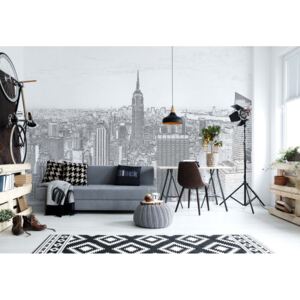 Fototapeta - White And Grey Modern New York Skyline Vliesová tapeta - 312x219 cm