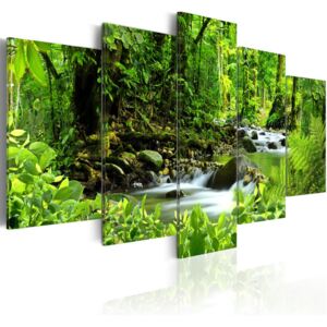Obraz na plátne - In the mighty jungle... 100x50 cm