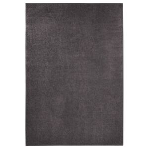 Antracitovosivý koberec Hanse Home Pure, 200 × 300 cm