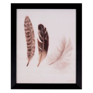 Obraz sømcasa Feathers, 25 × 30 cm