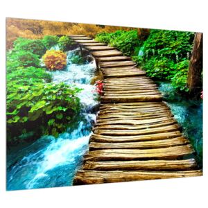 Obraz dreveného chodníka cez rieku (70x50 cm)