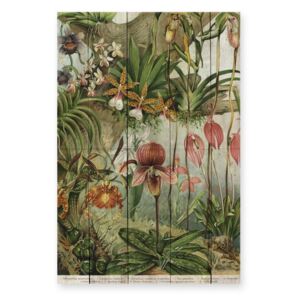 Nástenná dekorácia z borovicového dreva Madre Selva Jungle Flowers, 60 × 40 cm