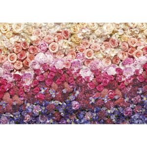 8-965 Papierová Utierateľné fototapety na stenu Komar intenciách dúha kvetín, veľkosť 368 368x254 cm