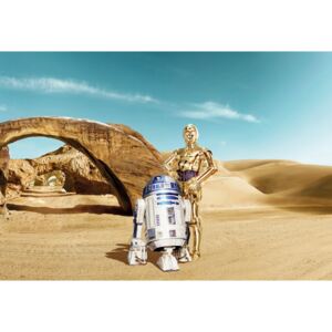 8-484 Obrazová fototapety Komar Star Wars Lost Droids, veľkosť 368 x 254 cm
