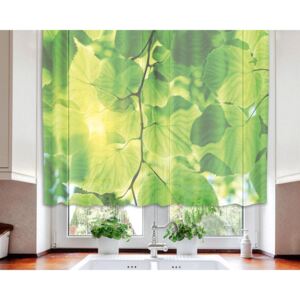 VO-140-016 Textilné fotozáclona s obšitím a rašiace páskou, Zelené listy, veľkosť 140 x