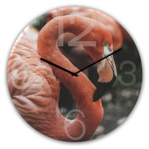 Nástenné hodiny Styler Glassclock Flamingo, ⌀ 30 cm