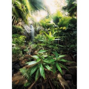 XXL2-527 Vliesová obrazová fototapety Komar Spirit National Geographic džungľa, veľkosť