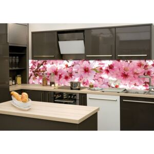 KI-260-054 Fototapeta do kuchyne - Apple Blossom (Kvety jabloní) 260 x 60 cm