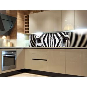 KI-180-016 Fototapeta do kuchyne - Zebra 180 x 60 cm