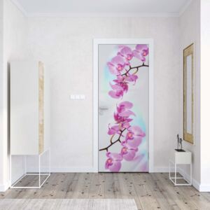 GLIX Fototapeta na dvere - Flowers Orchids
