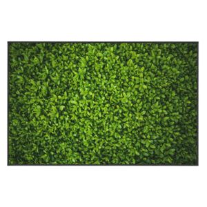Zelený koberec Oyo home Ivy, 80 x 140 cm