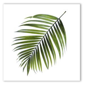 Obraz Styler Canvas Greenery Black Palm, 32 × 32 cm