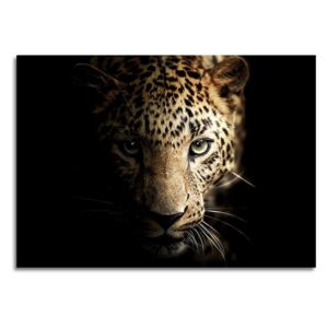 Obraz Styler Glas Animals Leopard, 70 × 100 cm