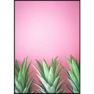 Plagát Imagioo Three Pineapples, 40 × 30 cm