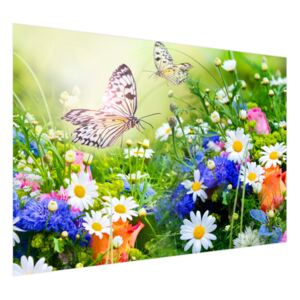 Fototapeta Motýle a kvety v krásnej záhrade 200x135cm FT2220A_1AL