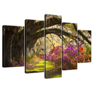 Obraz na plátne Silné duby a kvety 100x63cm 1480A_5D