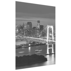 Fototapeta Dúhový most Tokio 150x200cm FT2390A_2M