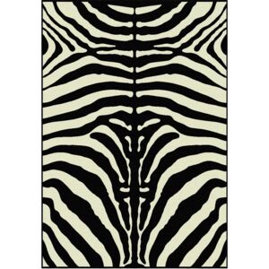 TEMPO KONDELA Arwen koberec 140x200 cm vzor zebra