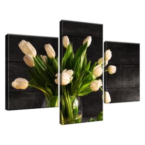 Obraz na plátne Krémové tulipány 90x60cm 1392A_3B