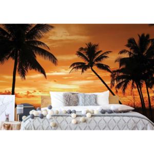 Fototapeta - Tropical Sunset Silhouette Vliesová tapeta - 206x275 cm