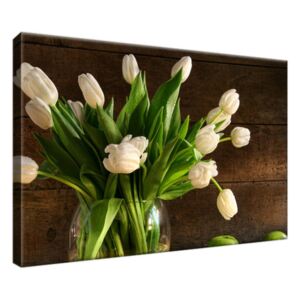 Obraz na plátne Biele tulipány 30x20cm 1364A_1T