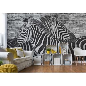 Fototapeta - Brick Wall Zebras Vliesová tapeta - 250x104 cm