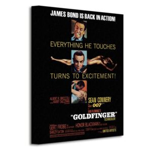 Obraz na plátne James Bond (Goldfinger - Excitement) 30x40 WDC92004