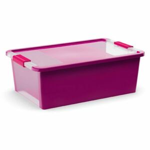 Úložný Bi box M, plastový 26 litrov priehľadná/fialová