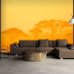 Fototapeta Bimago - Orange savanna + lepidlo zadarmo 200x154 cm