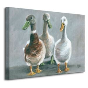 Obraz na plátne Traja kačací priatelia Brown Louise 50x40cm WDC94259