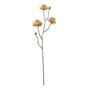 Kvetina žltá chryzantéma dekorácia 24ks set OCHRE DUSTY PINK