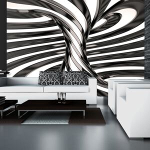 Fototapeta - Black and white swirl II 400x280 cm