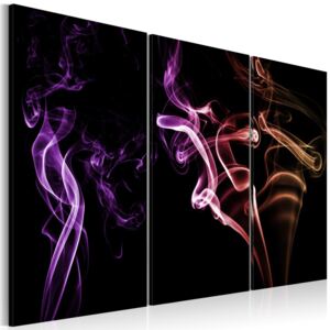 Obraz na plátne - Colored smoke 120x80 cm