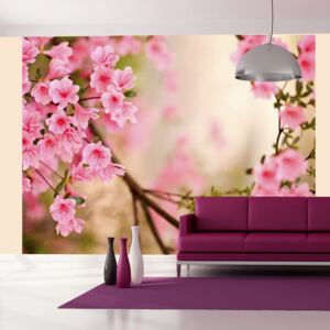 Fototapeta Bimago - Pink azalea + lepidlo zadarmo 200x154 cm