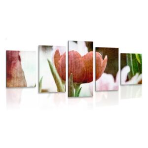 5-dielny obraz lúka tulipánov v retro štýle