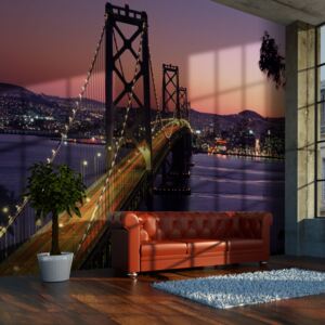 Fototapeta - Charming evening in San Francisco 250x193 cm