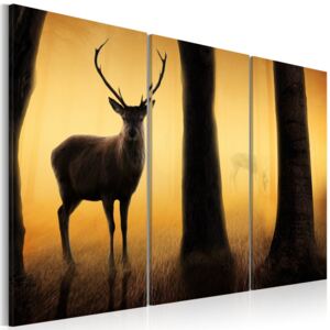 Obraz na plátne - Lesní stráž 120x80 cm