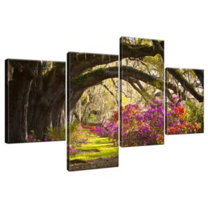Obraz na plátne Silné duby a kvety 120x70cm 1480A_4AA