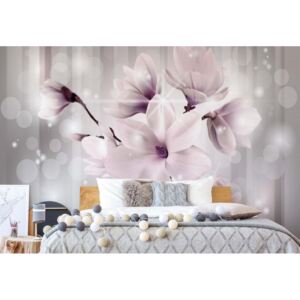 GLIX Fototapeta - Magnolia Flowers Sparkles Pink Modern Design Vliesová tapeta - 206x275 cm