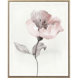 UMELECKÁ TLAČ, kvety, 40/50 cm Monee - Obrazy