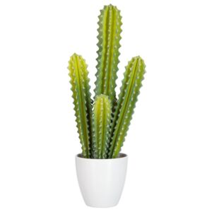Okrasný kaktus v kvetináči - 20*15*50cm